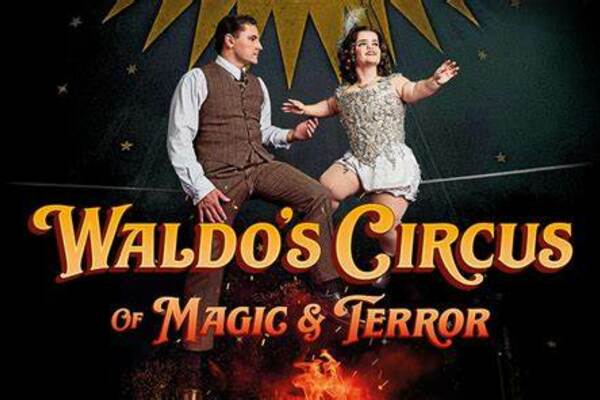 Publicity Image for 'Waldo's Circus of Magic and Terror'. A photo of two performers sat on a raised tight wire in a dark circus tent. The circus tent is decorated with gold stars. To the right is the main character, Krista, who is a young white woman of short stature with short brown hair looking away into the distance with a smile on her face and arms outspread. To the left is Gerhard, a young white man with short brown hair, who gazes intently at the other performer, Krista, as he reaches his hand to touch her. Both characters’ costumes are in the style of the 1930s. Hers is a shiny silver beaded corset with white silk shorts, tights and black shoes. He looks elegant in brown trousers and a brown waistcoat over a long-sleeved white shirt and black shoes. Underneath the two performers burns a small fierce fire with red flames, reaching the soles of their feet and signifying the danger beneath this love story