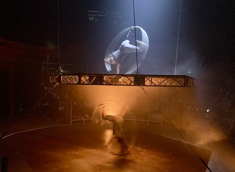 ‘The Nose Dive Assembly’, by Revel Puck Circus